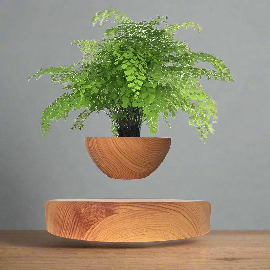 Levitating Air Bonsai Pot Rotation Flower Pot Planters Magnetic Suspension Floating Pot Potted Plant Home without Plants