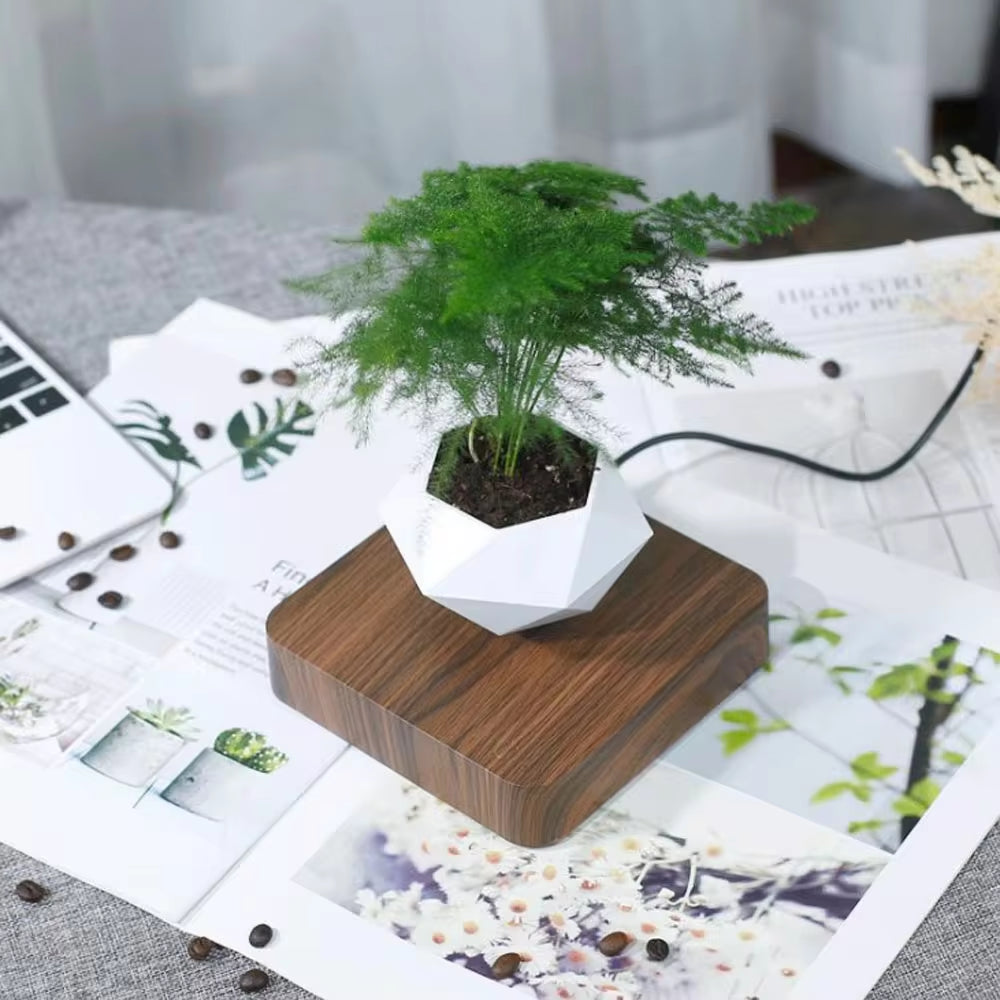 Levitating Air Bonsai Pot Rotation Flower Pot Planters Magnetic Suspension Floating Pot Potted Plant Home without Plants